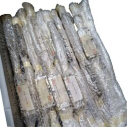 THK SHS 15C2UU-520 L5N LINEAR RAIL