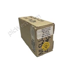 SEIKOM SEIDEL NLSW-2A 24V AC DC 66224